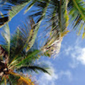 Meet your Posher, Camila